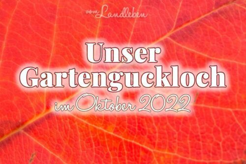 Gartenguckloch im Oktober 2022