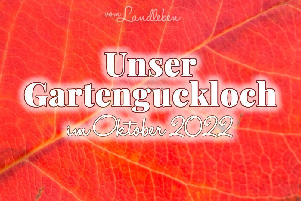 Gartenguckloch im Oktober 2022