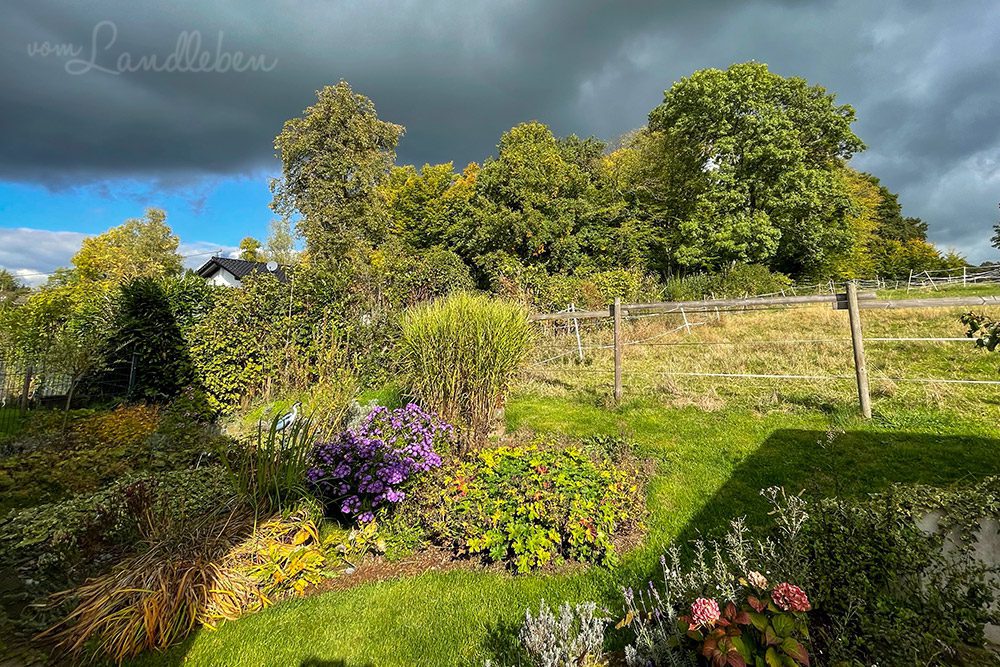 Mittelgarten im Oktober 2022