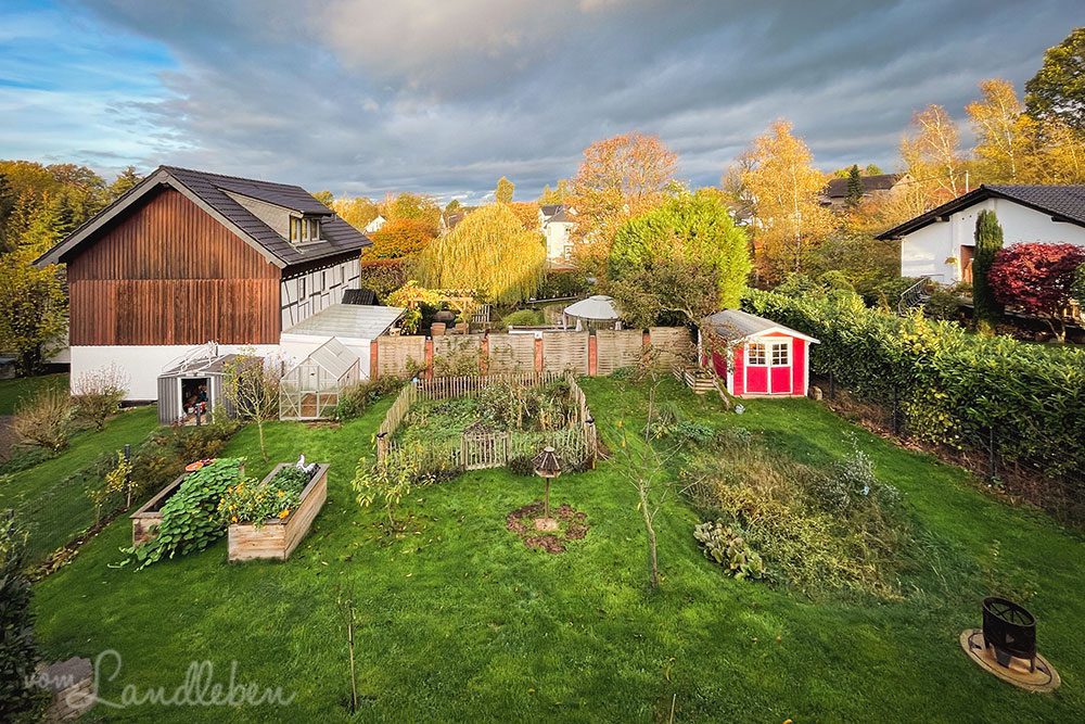 Unser Garten im November 2022