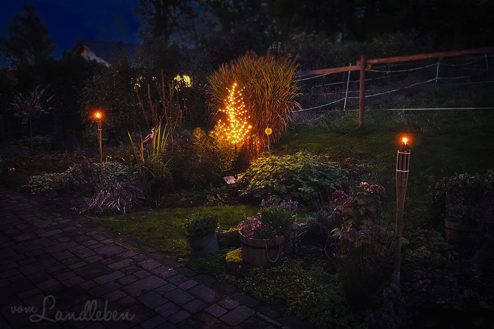 Mittelgarten im November 2022