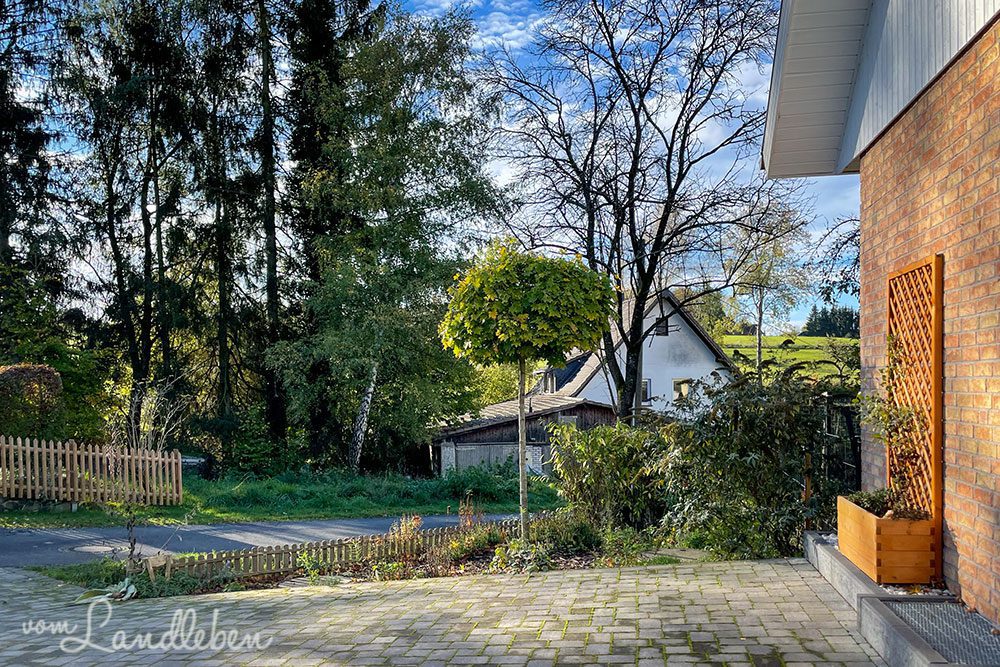 Vorgarten im November 2022