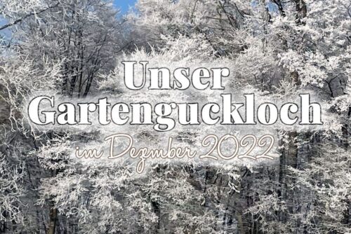 Unser Gartenguckloch im Dezember 2022
