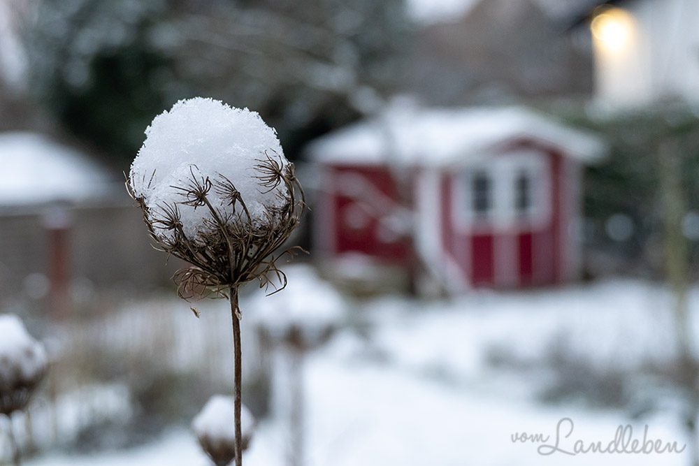 Schnee im Garten