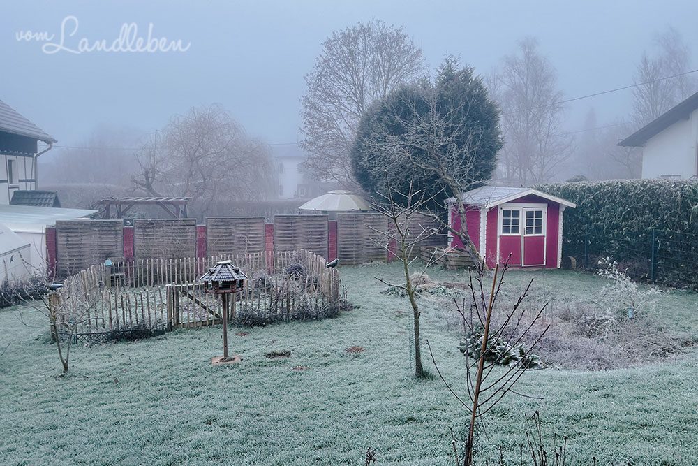 Garten im Januar 2023