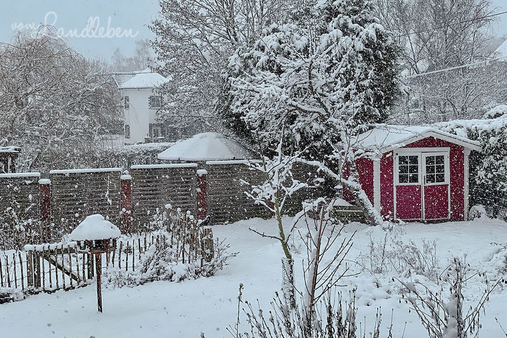 Garten im Januar 2023