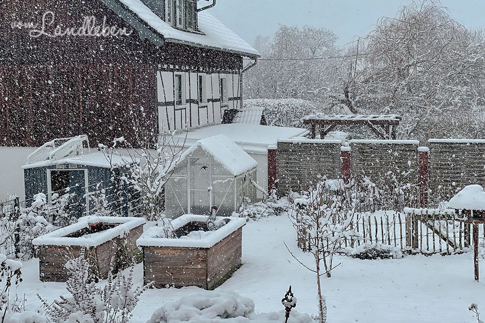 Garten im Januar 2023