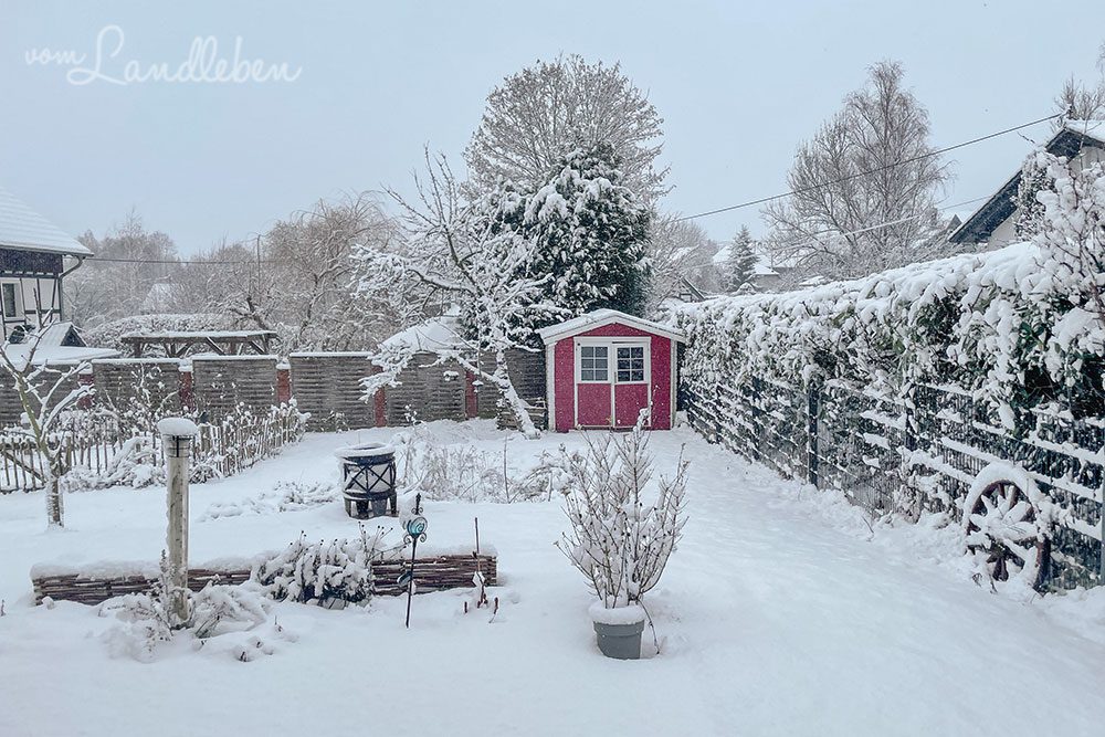Garten im Januar 2023