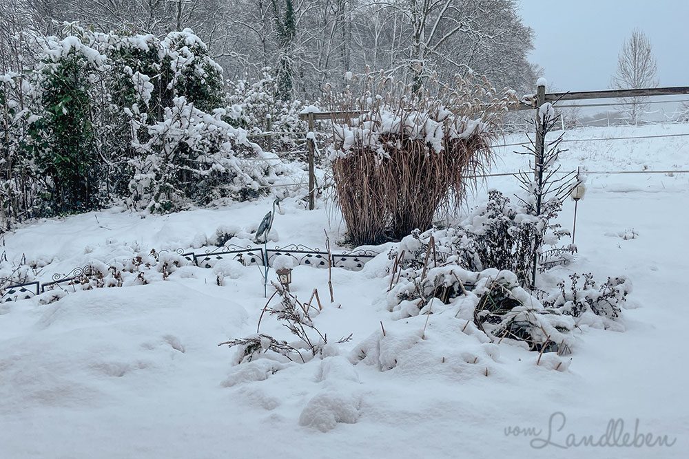 Schnee im Mittelgarten - Januar 2023