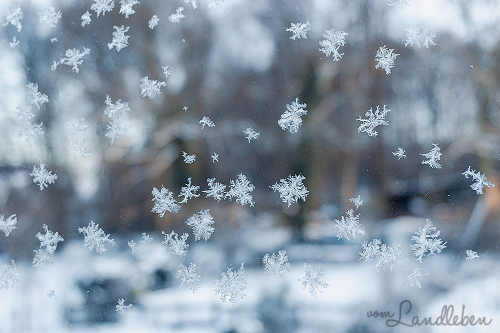 Schneeflocken an der Fensterscheibe