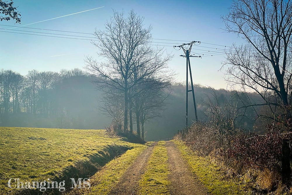 Spazierengehen an meinem Geburtstag