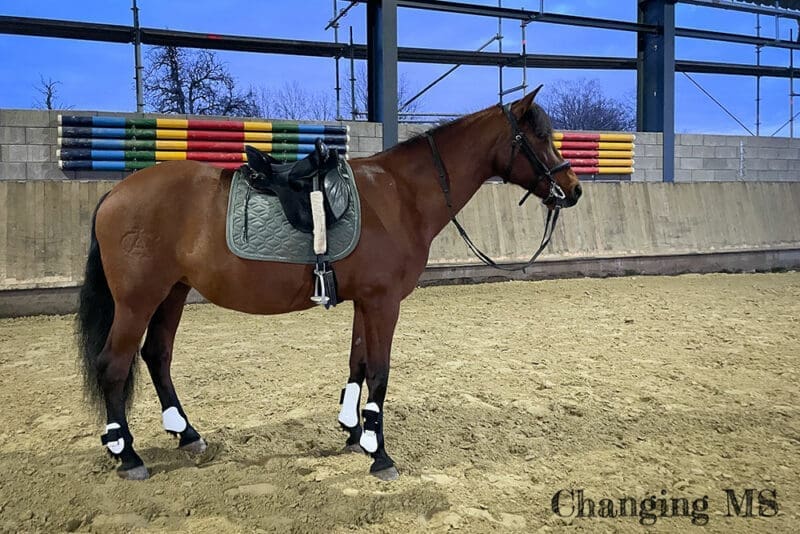 Meine Dolida im März 2023