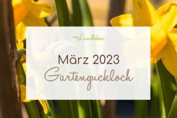 Gartenguckloch März 2023