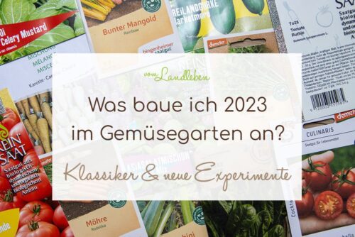 Was baue ich 2023 im Gemüsegarten an?