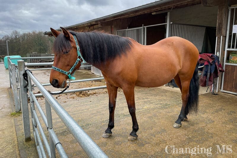 Dolida - 12 von 12 im März 2023