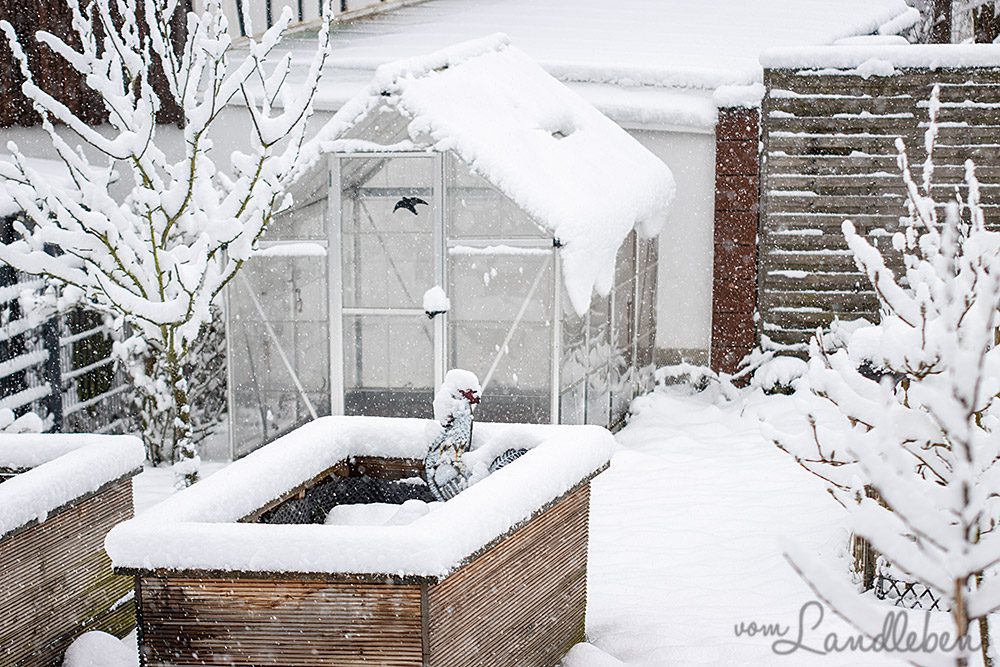 Schnee im März 2023 im Garten