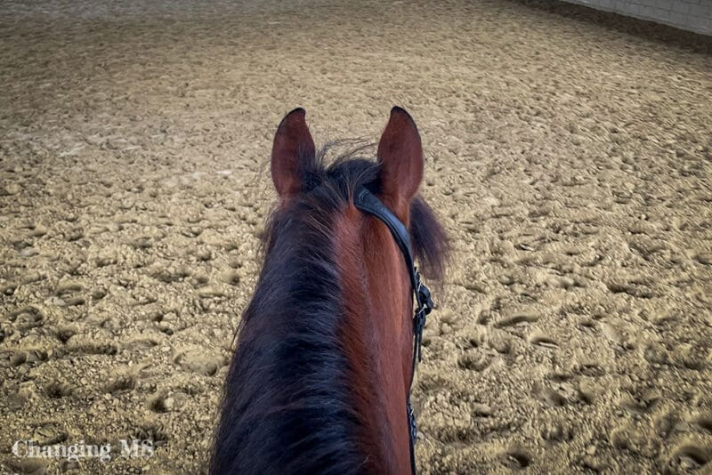 Beim Reiten - 12 von 12 im April 2023