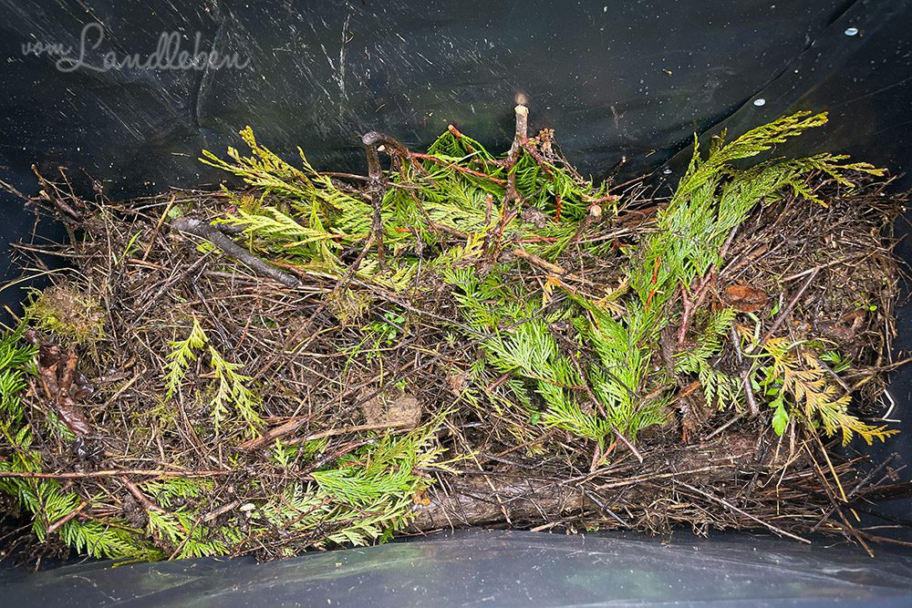 Schichten im Hochbeet: Äste und Zweige