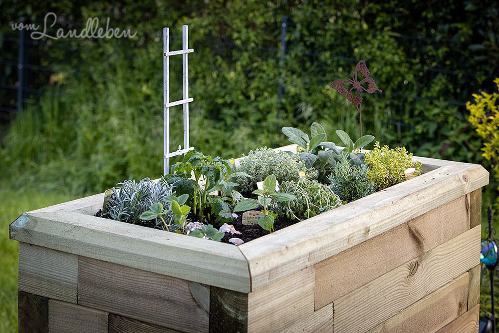 Mediterranes Kräuterhochbeet