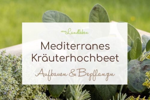 Mediterranes Kräuterhochbeet