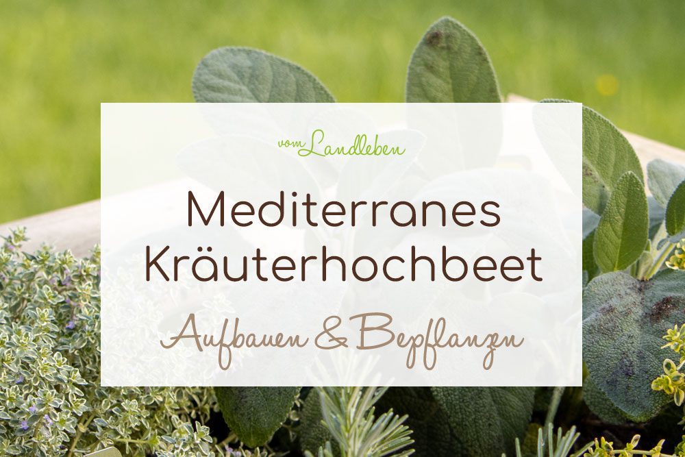 Mediterranes Kräuterhochbeet