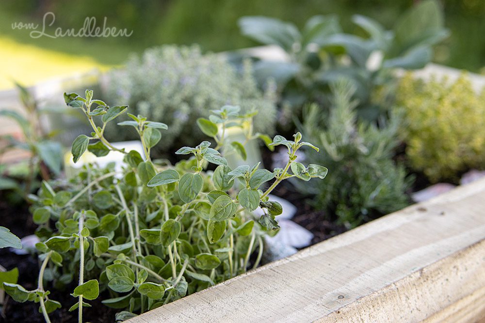 Mediterranes Kräuterhochbeet