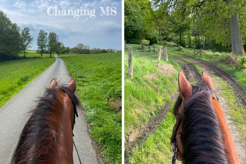 Ausreiten mit Dolida - Mai 2023