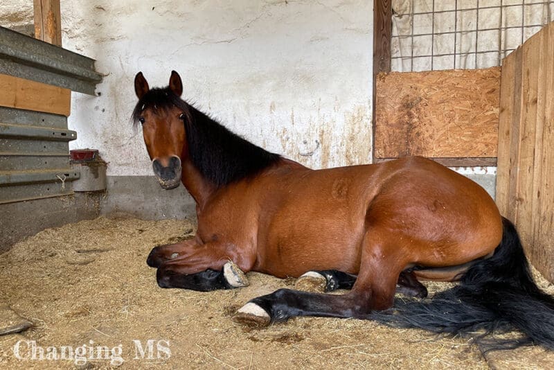 Dolida liegt in der Box - Mai 2023