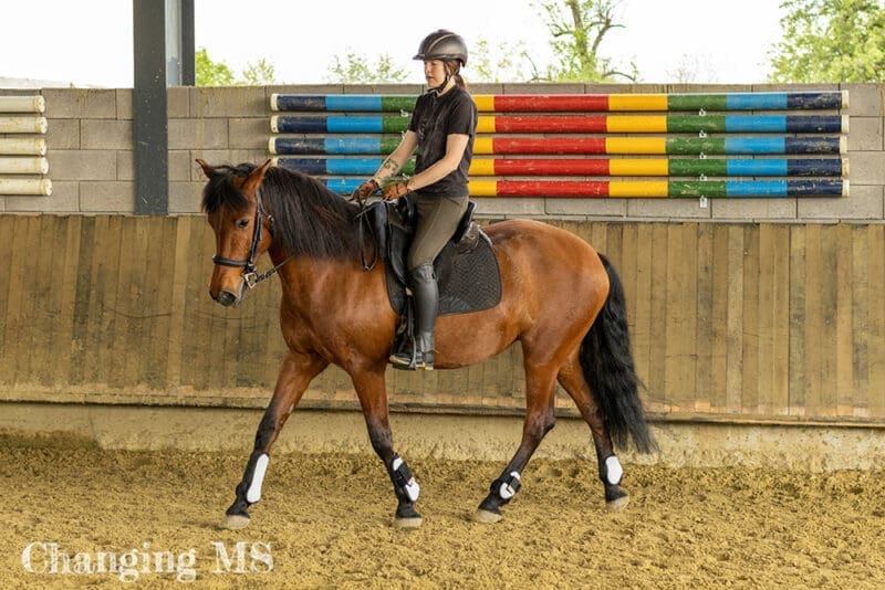 Reiten in der Halle auf Dolida - Mai 2023