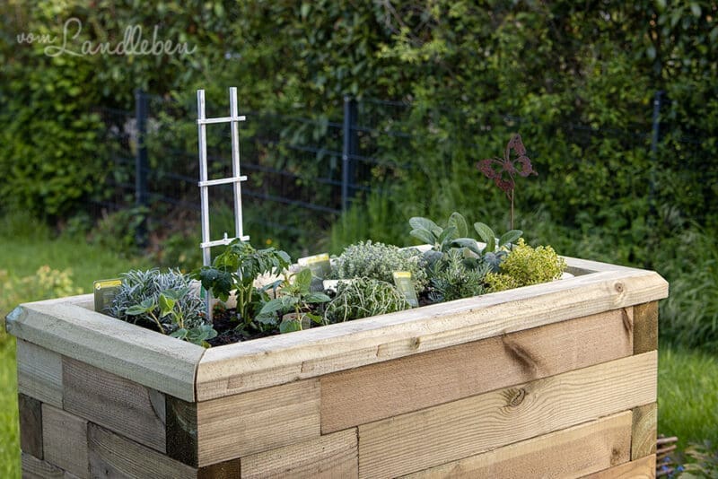 Mediterranes Kräuterhochbeet