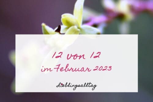 12 von 12 im Februar 2023