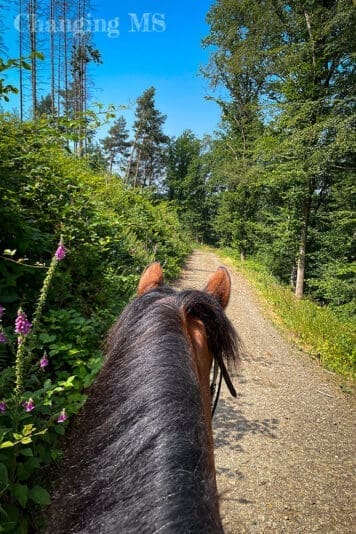 Ausreiten im Juni 2023