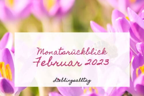 Monatsrückblick Februar 2023
