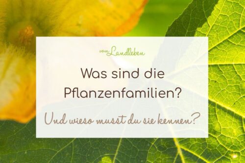 Was sind die Pflanzenfamilien?