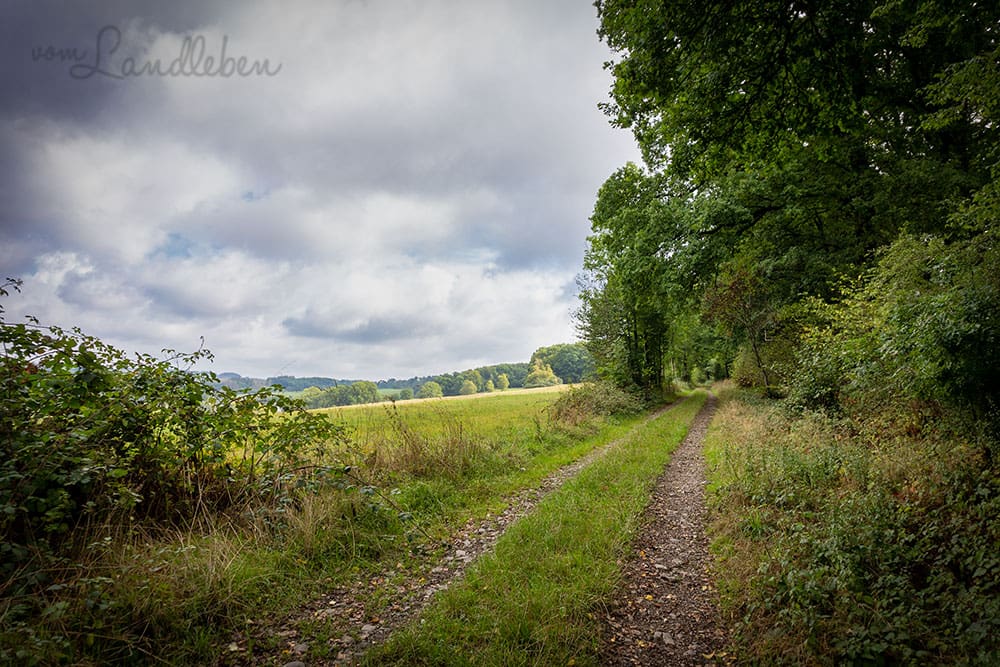 Fachwerkweg in Ruppichteroth - Bergischer Streifzug No. 22