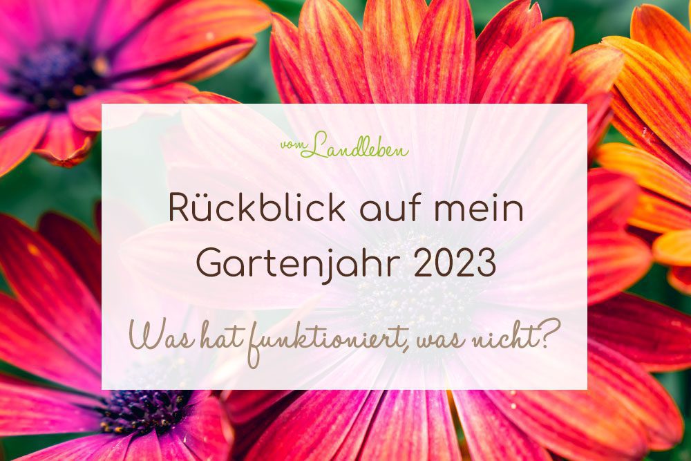 Rückblick auf mein Gartenjahr 2023