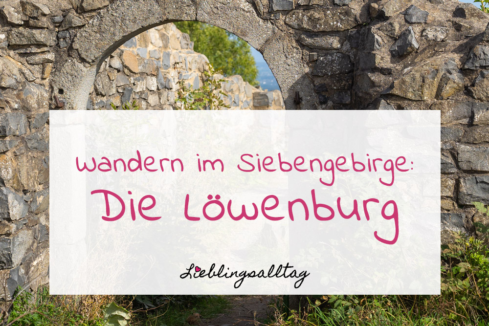 Wandern im Siebengebirge - Die Löwenburg