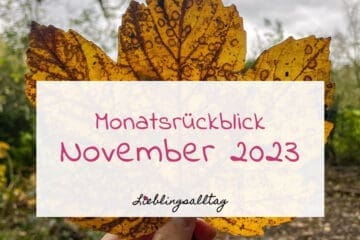 Monatsrückblick November 2023