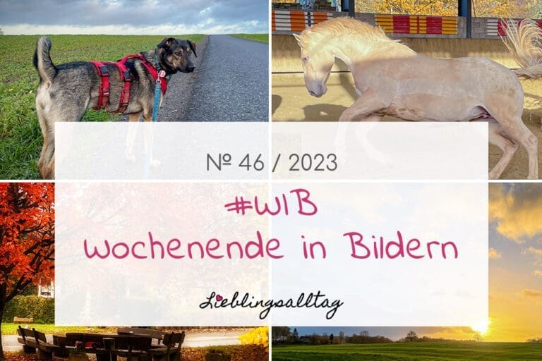 WIB - Wochenende in Bildern 46-2023