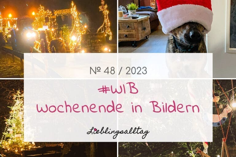 WIB - Wochenende in Bildern 48-2023