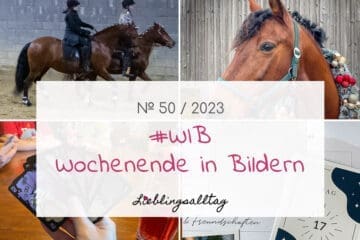 WIB - Wochenende in Bildern 50-2023