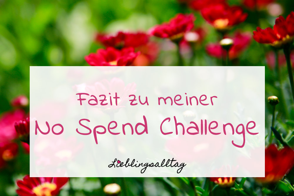 No Spend Challenge - Fazit