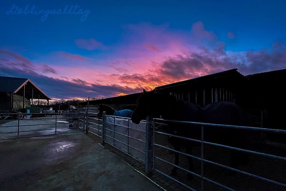 Sonnenuntergang am Stall