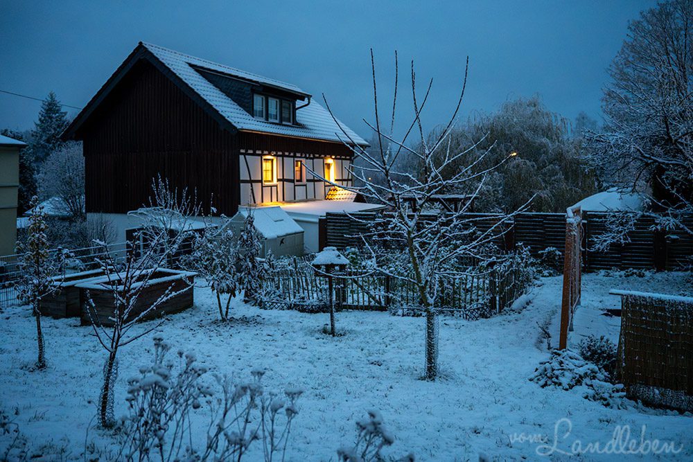 Unser verschneiter Garten in der Dämmerung