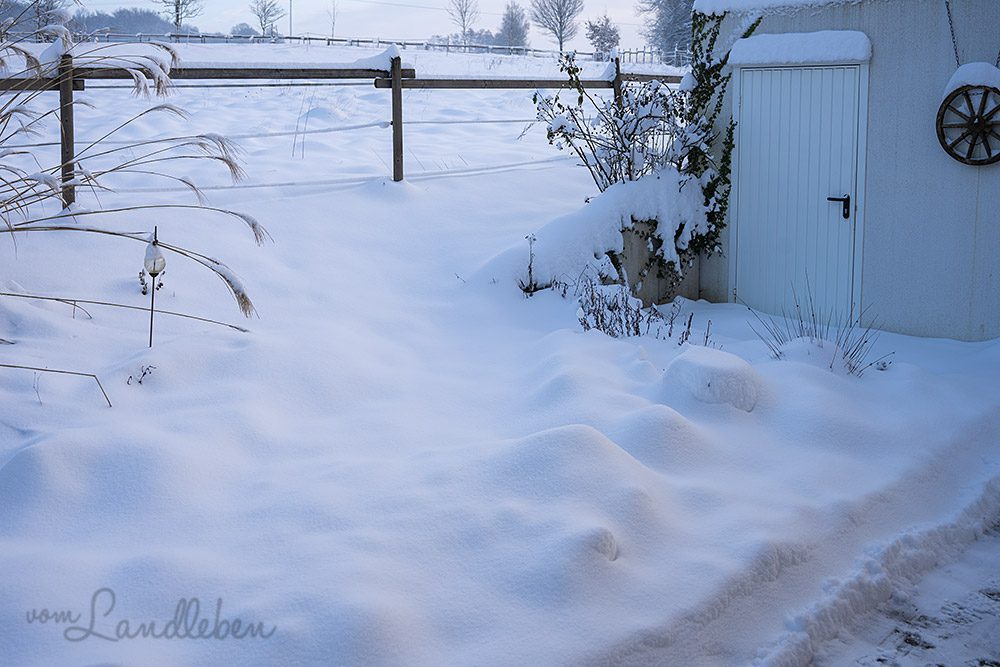 Unser tief verschneiter Mittelgarten