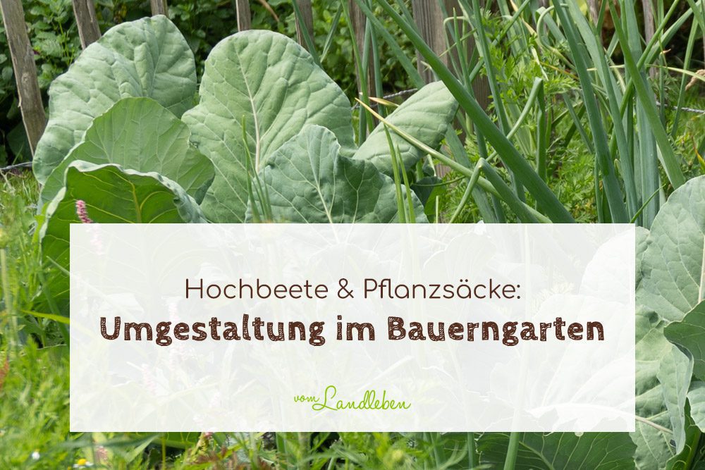 Umgestaltung im Bauerngarten