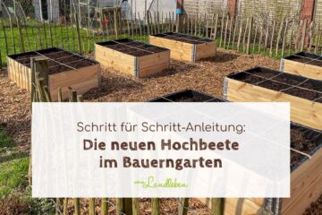 Neue Hochbeete im Bauerngarten