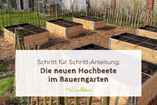 Neue Hochbeete im Bauerngarten
