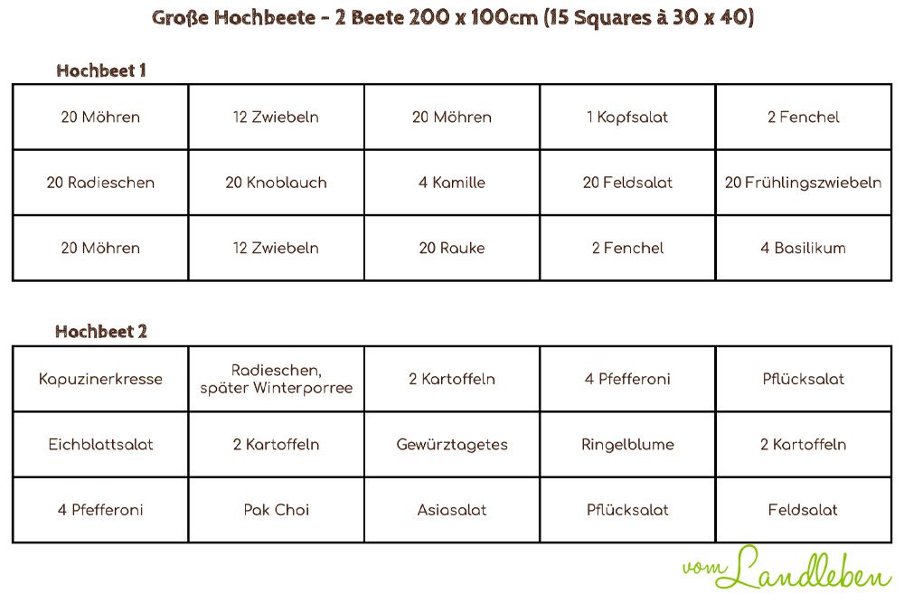 Pflanzplan große Hochbeete 2024