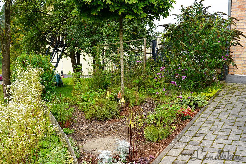 Vorgarten im September 2023